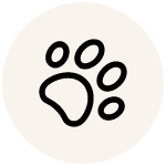 Diseños que combinan