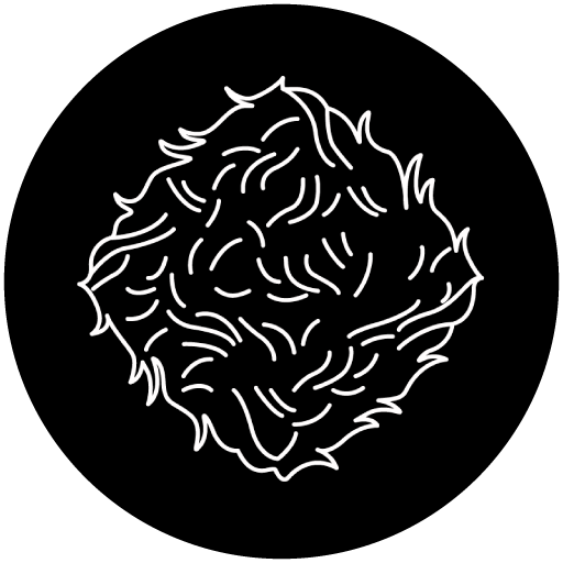 lapeluderia_icono